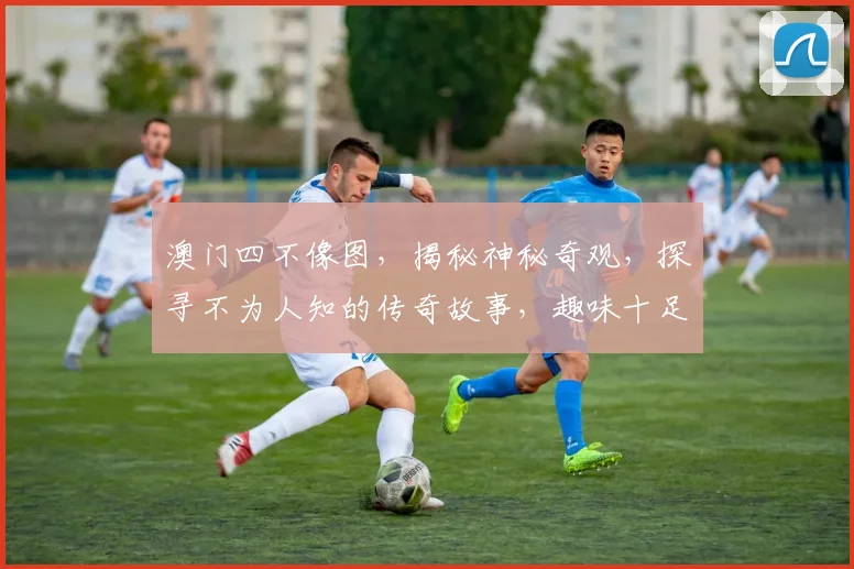 澳门四不像图，揭秘神秘奇观，探寻不为人知的传奇故事，趣味十足